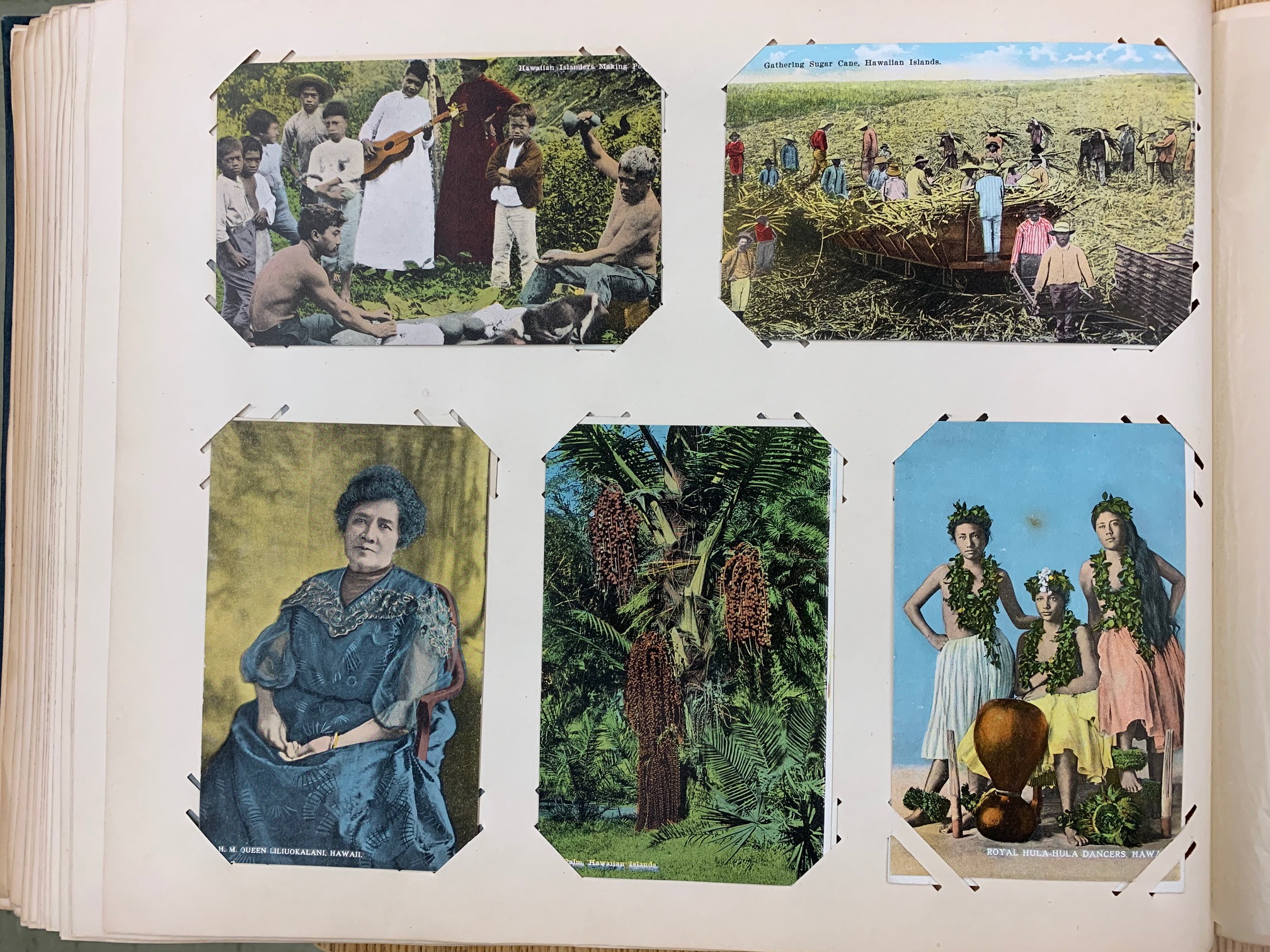 A page of from the Bell Postcard Album